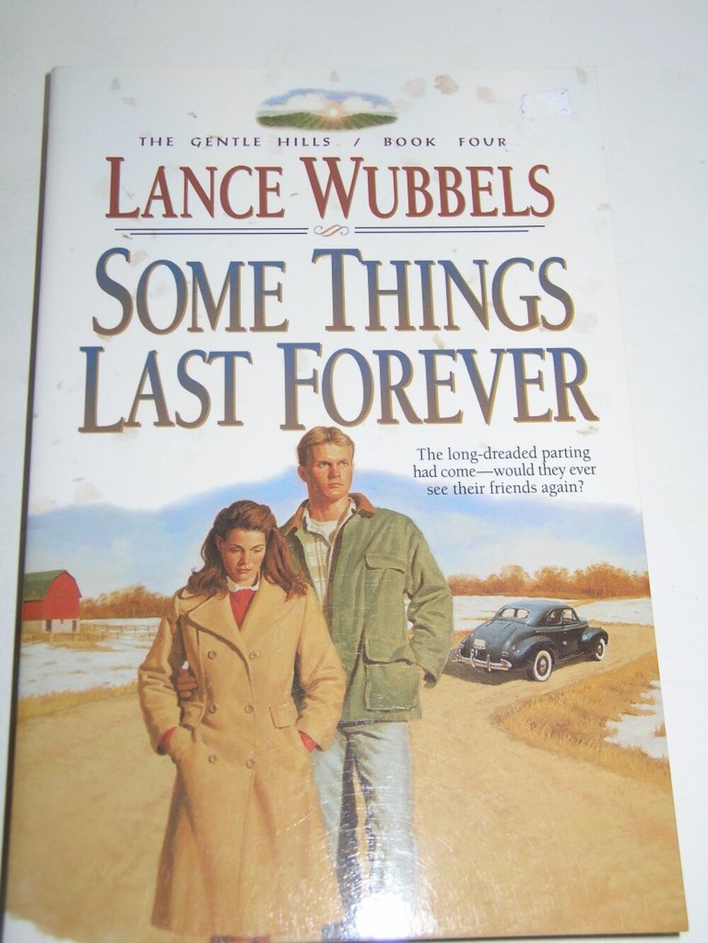"Some Things Last Forever" The Gentle Hills Book 4 Novel by Lance Wubbels New 78